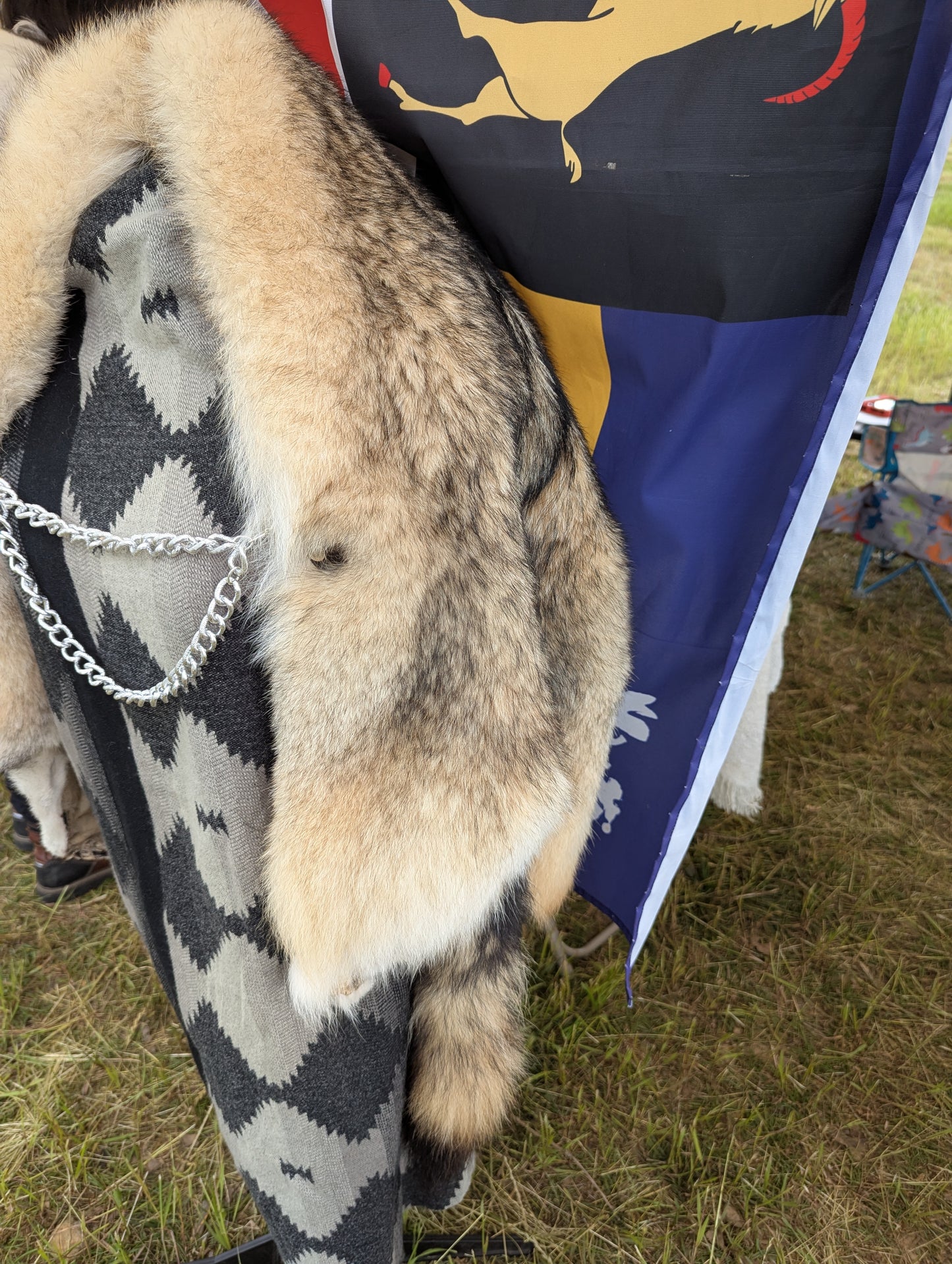 Wolf Hide Cloak (Gray Wolf)