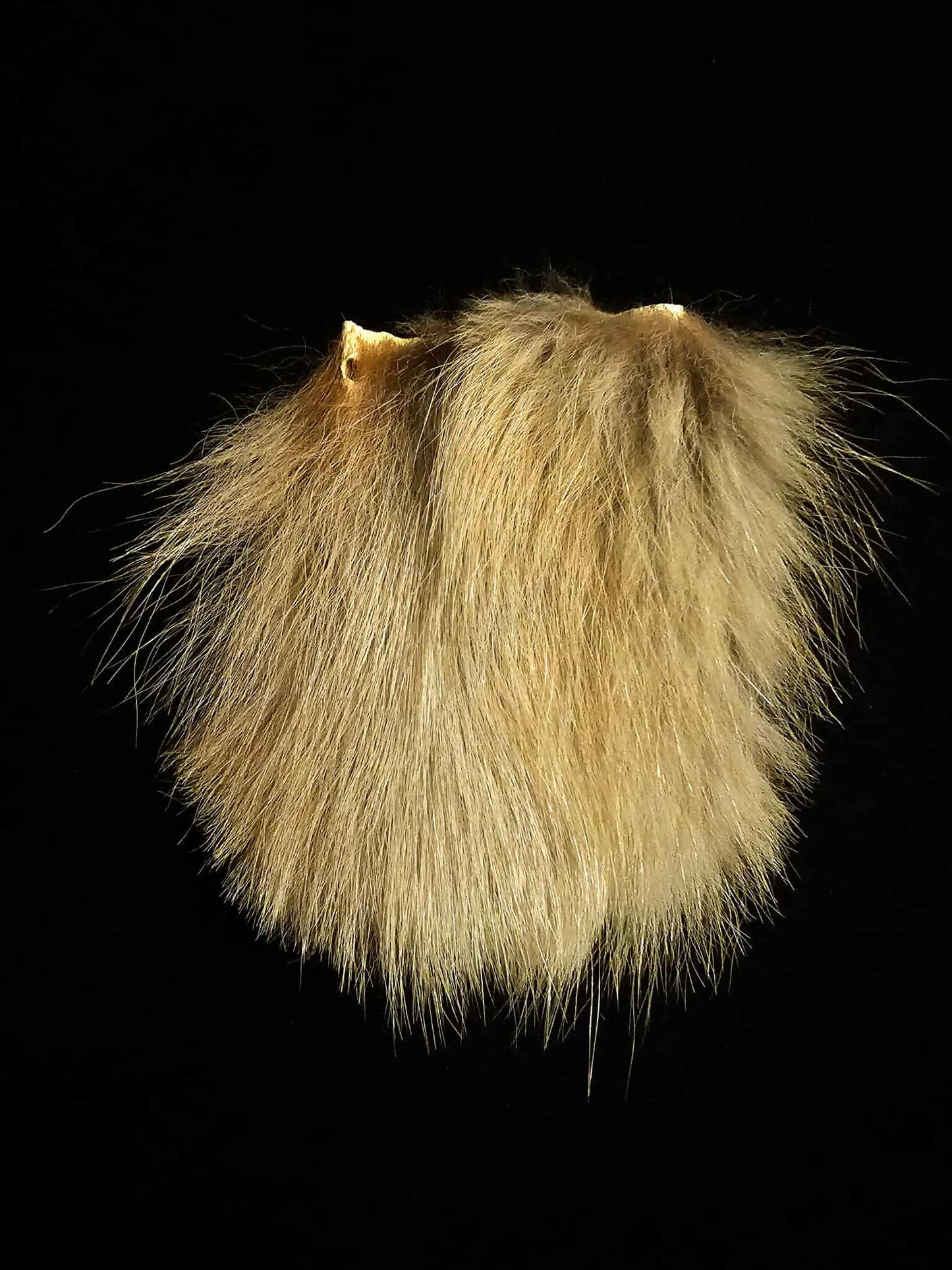 Coyote Fur Buckskin Neck Pouch + Medicine Bag