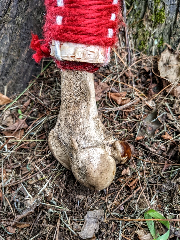 Deer Skull & Bone Shaman Staff Tooth Rattle Hand Made Naturally Harvested