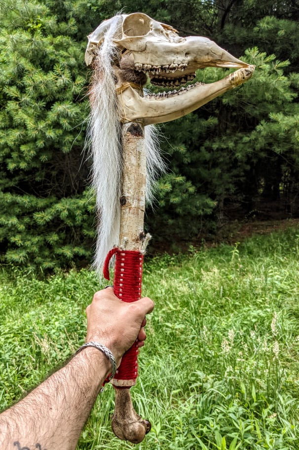 Deer Skull & Bone Shaman Staff Tooth Rattle Hand Made Naturally Harvested