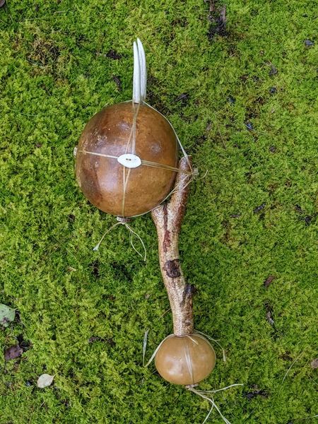 Natural Shamanic Ritual Rattle Deer Antler Gourd Sinew Birch Branch