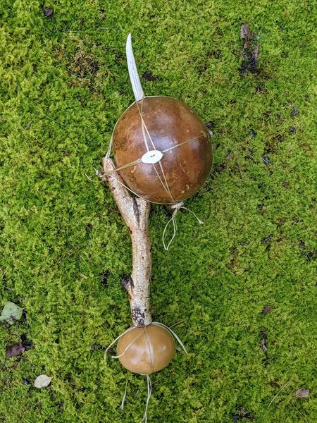 Natural Shamanic Ritual Rattle Deer Antler Gourd Sinew Birch Branch