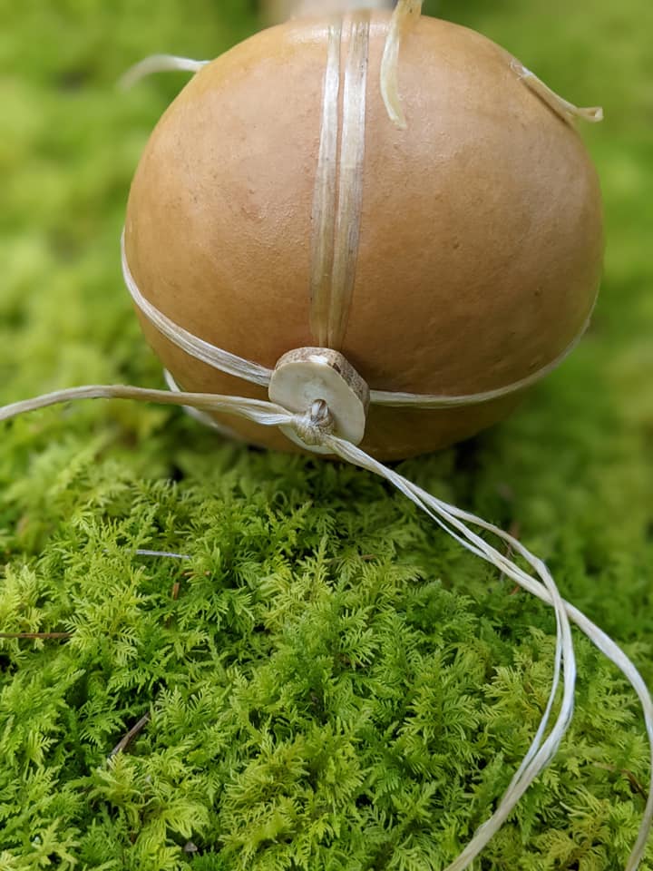 Natural Shamanic Ritual Rattle Deer Antler Gourd Sinew Birch Branch