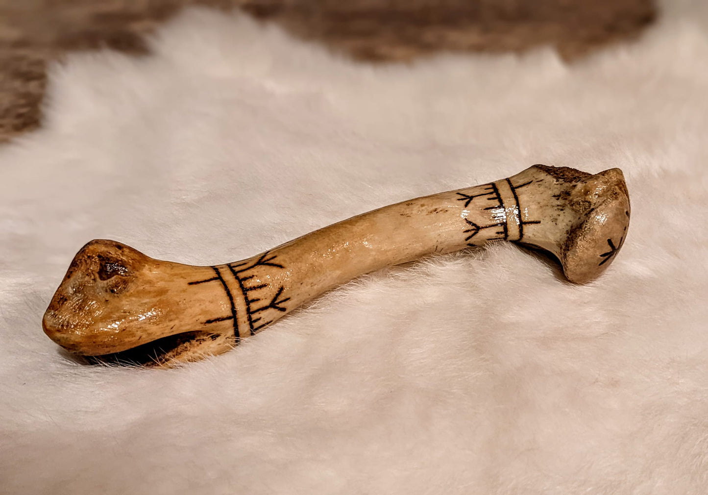 Deer Humerus Bone Rattle | Glass Bead Filled Bone | Burned With Algiz & Protection Circle Stave