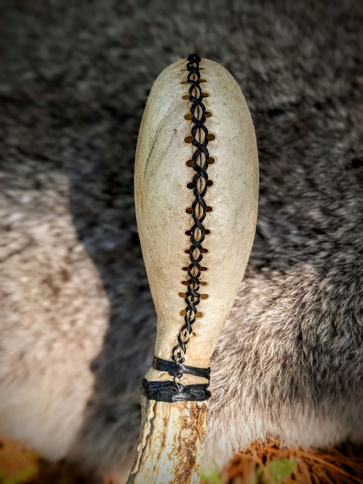 Deer Dance Antler White Hide Rattle
