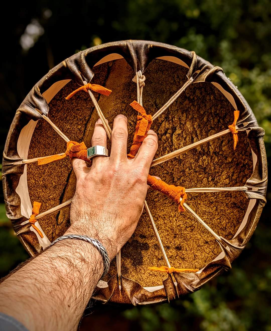 14" Horse Hide Drum | Deep Maple Frame