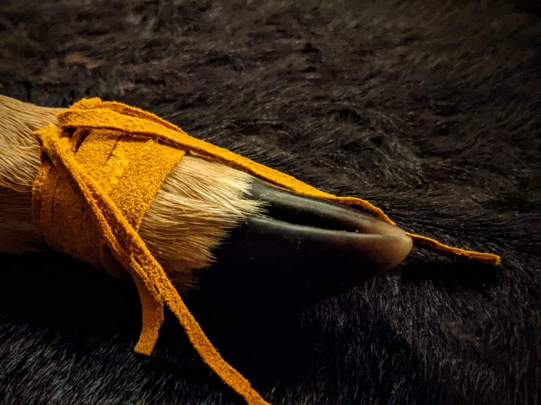 Deer Leg Handled Shaman Rattle