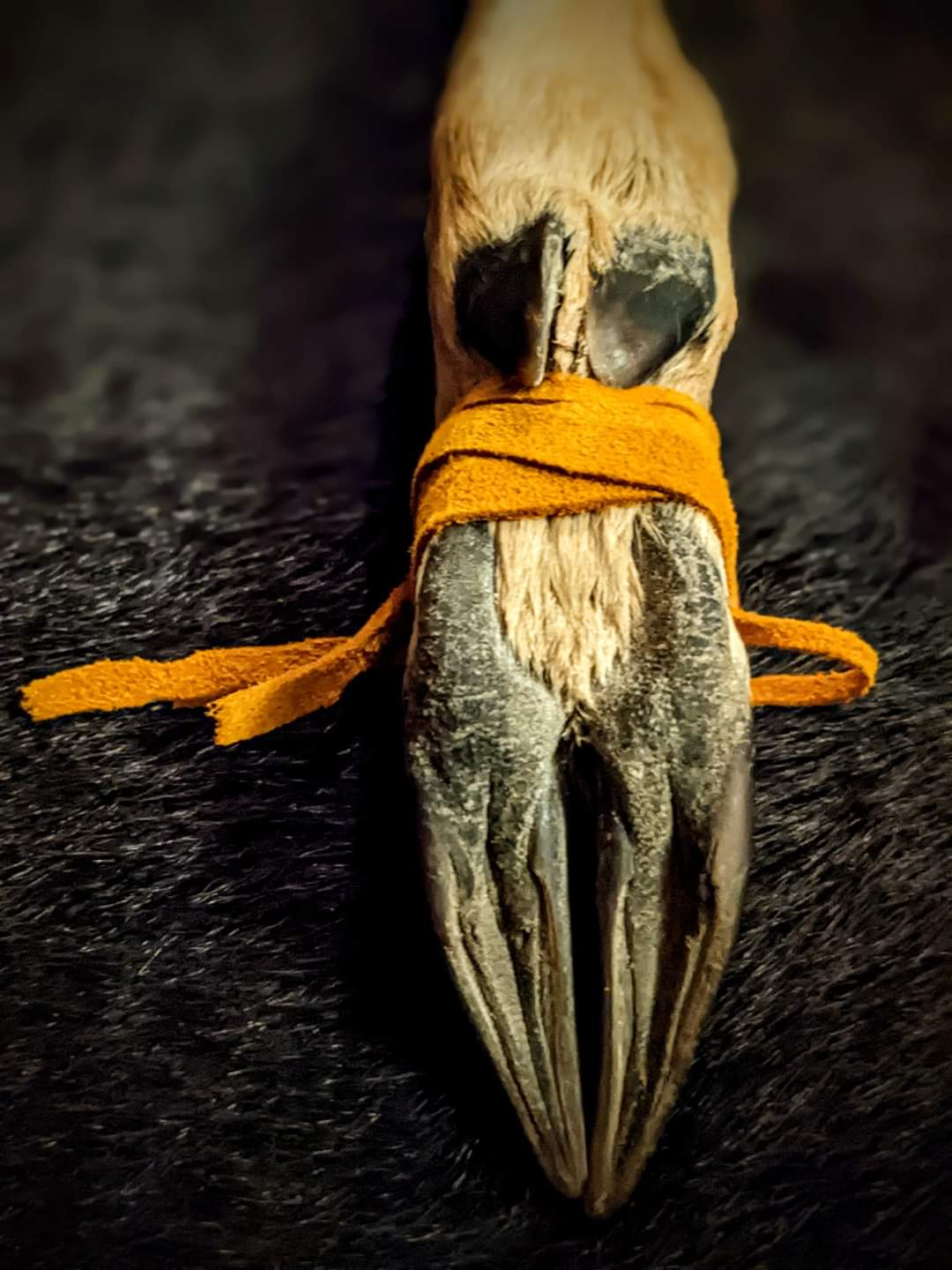 Deer Leg Handled Shaman Rattle