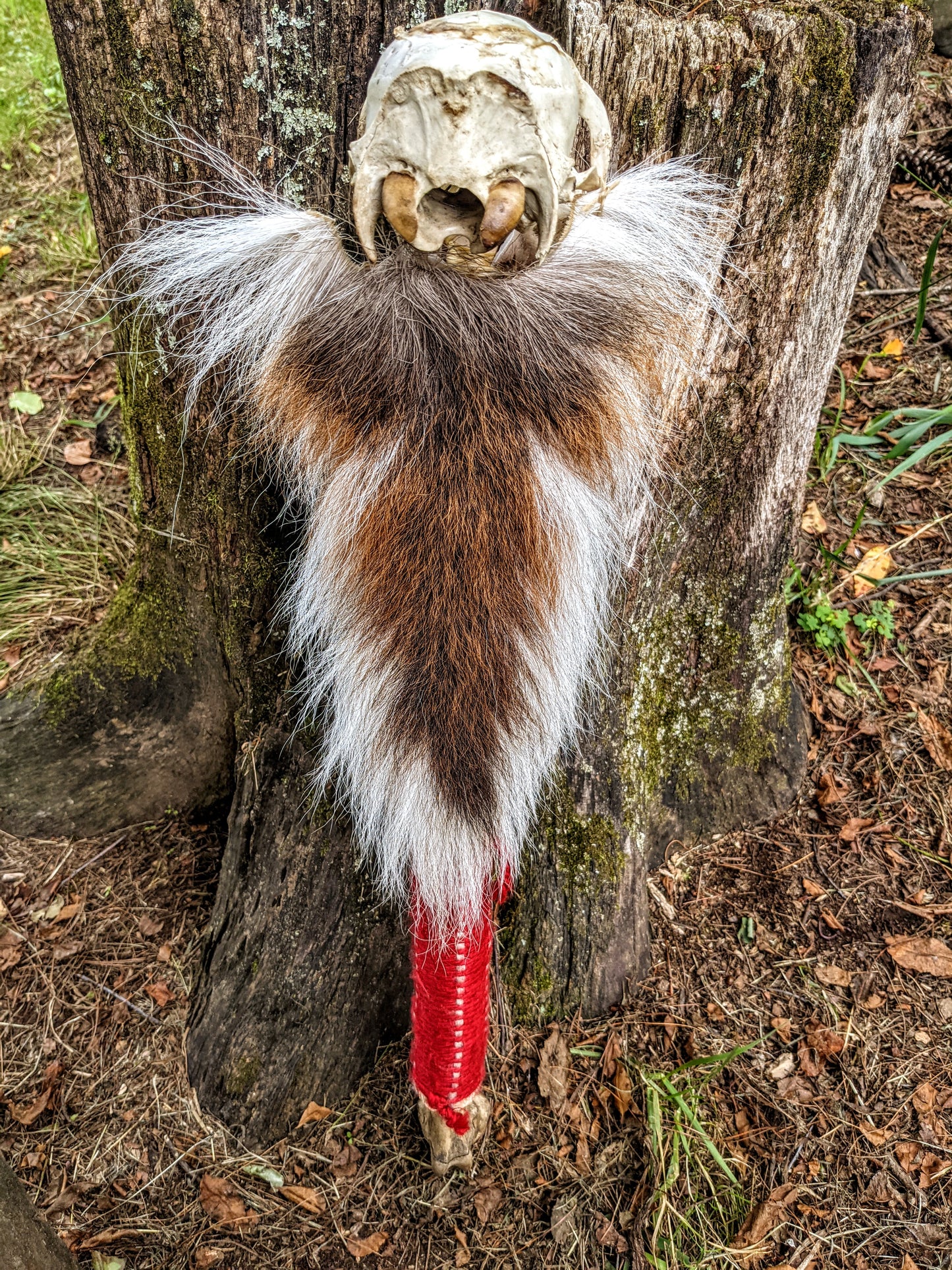 Deer Skull & Bone Shaman Staff Tooth Rattle Hand Made Naturally Harvested