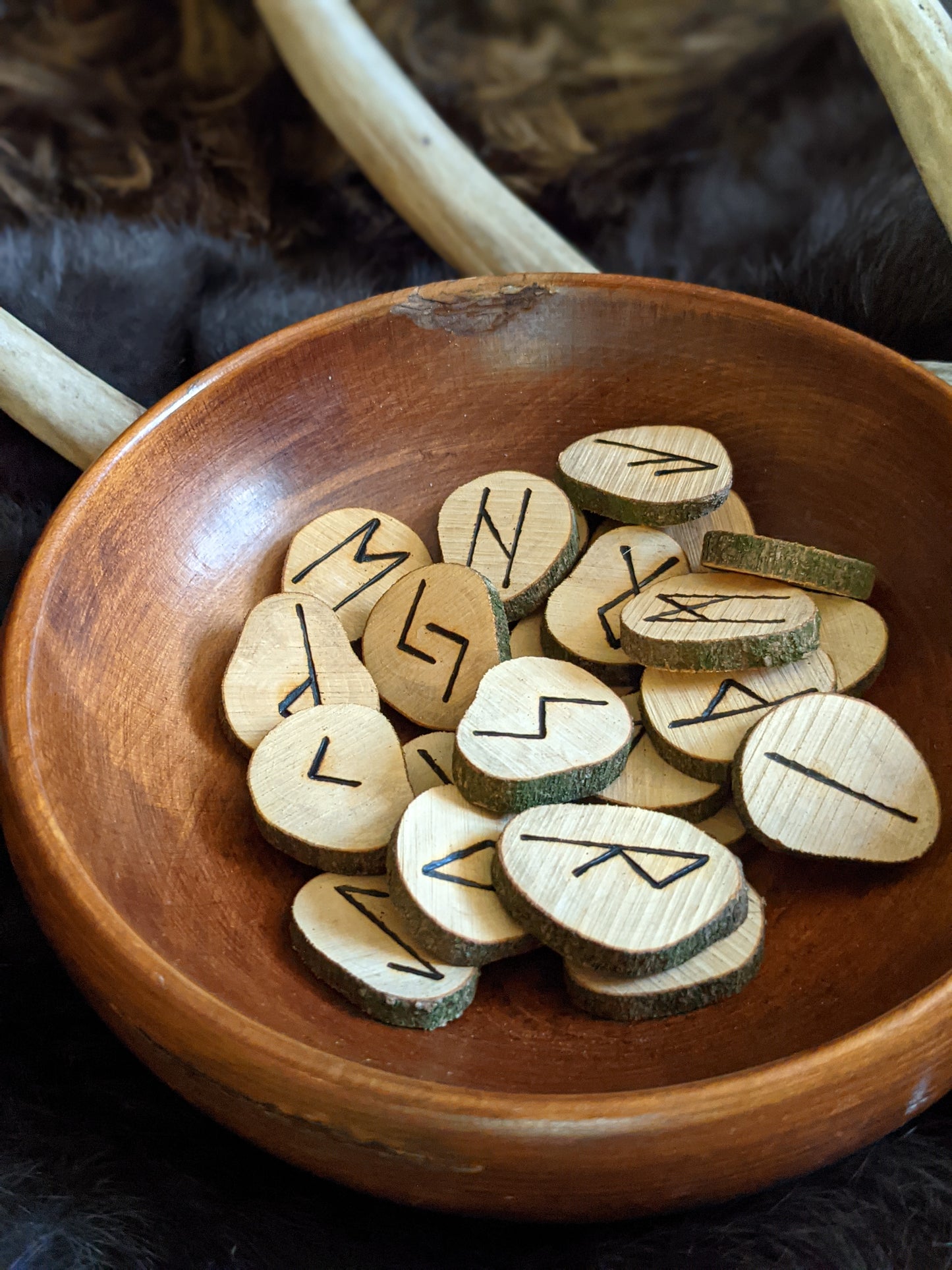 Natural Shape Flowering Rhododendron Wood Runes Tree Branch Set Elder Futhark Rune with Bag