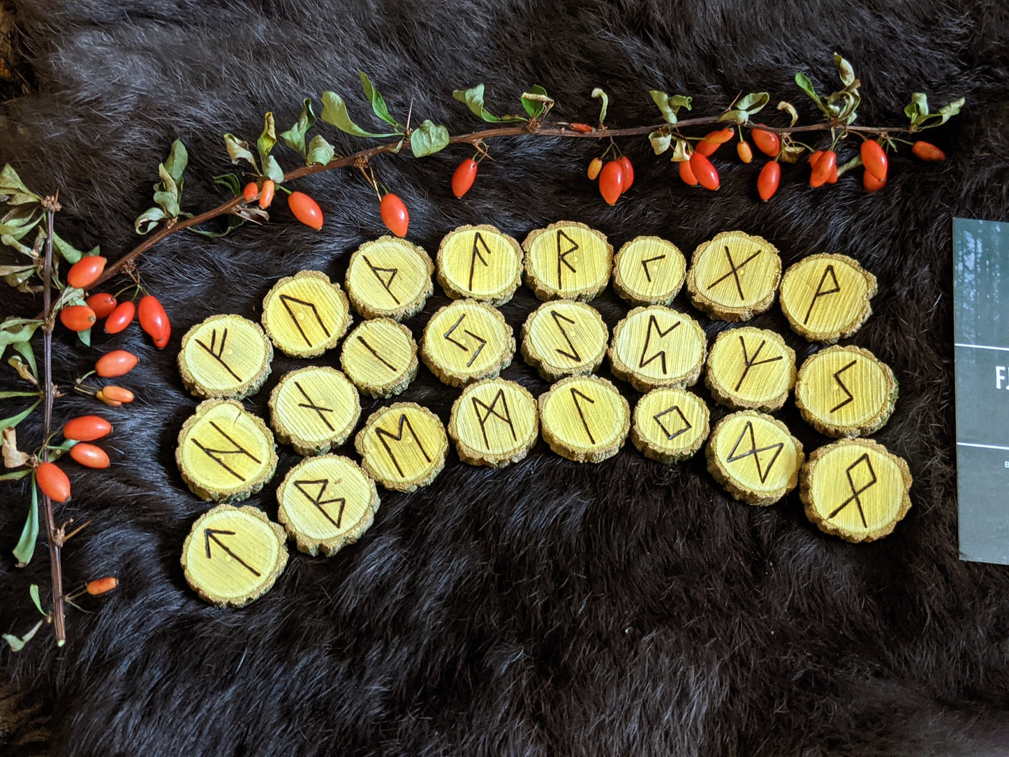 Barberry Magic Wood | Natural Branch Bark On Wooden Rune Set | Handmade Viking Runes | Elder Futhark Runes