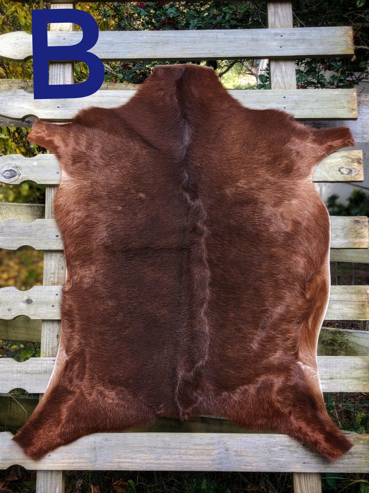 Natural Soft Goat Hide | Various Colors