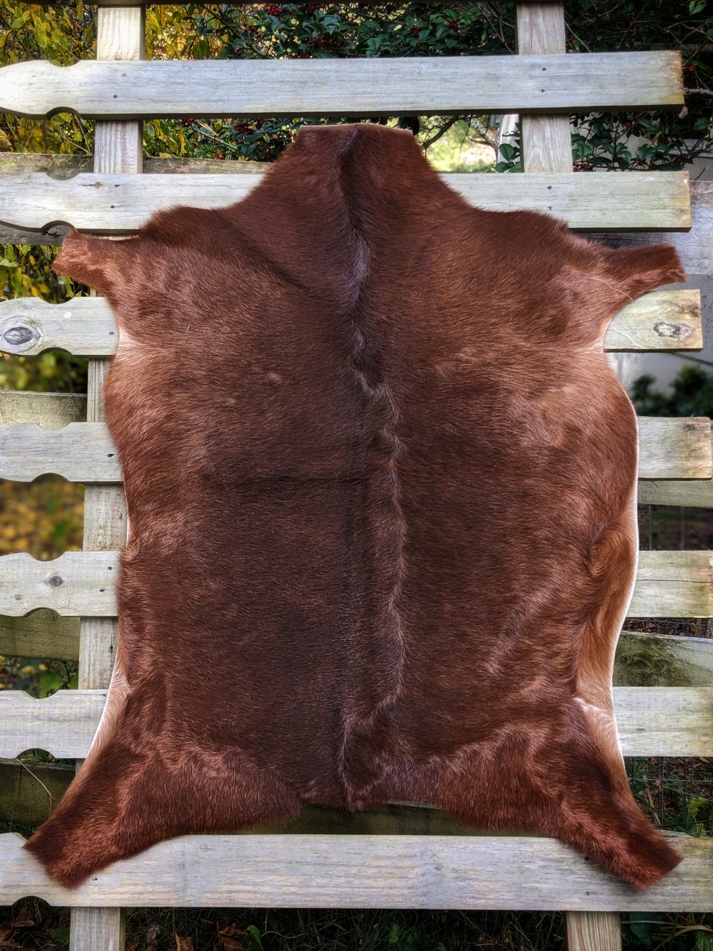 Natural Soft Goat Hide | Various Colors