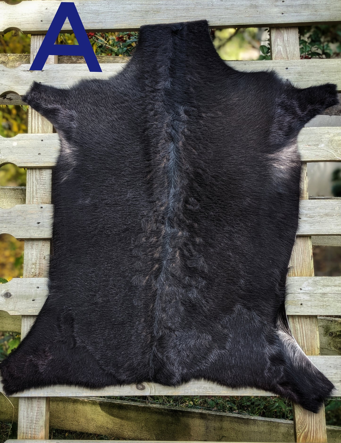 Natural Soft Goat Hide | Various Colors