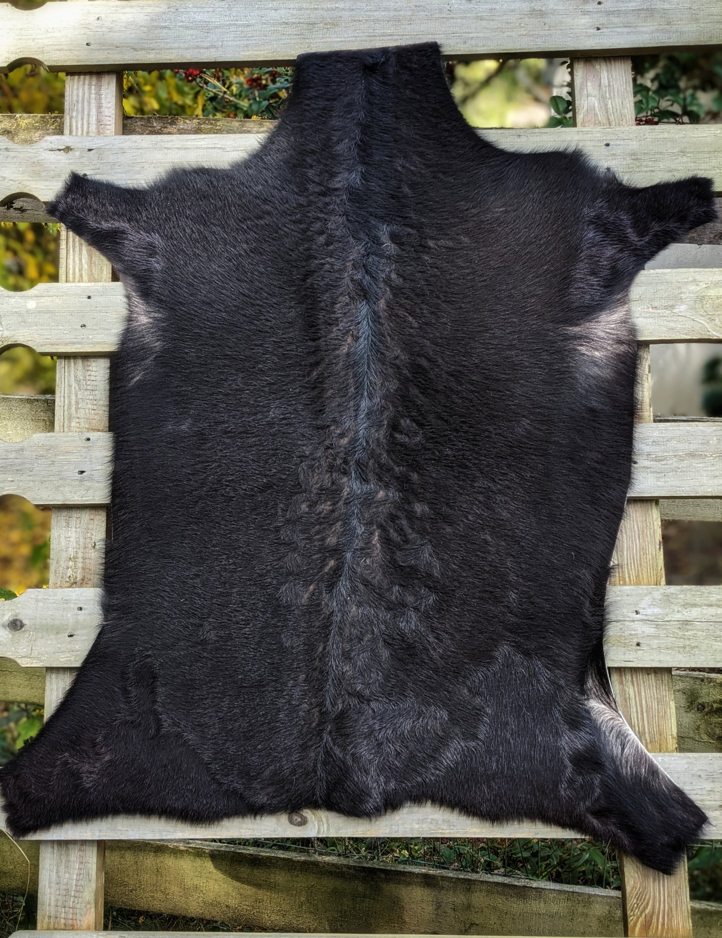 Natural Soft Goat Hide | Various Colors
