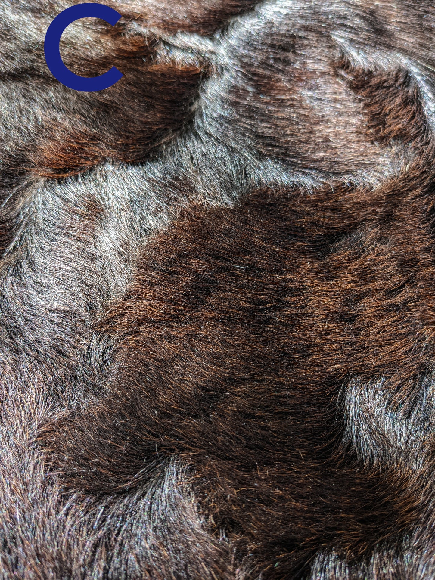 Natural Soft Goat Hide | Various Colors