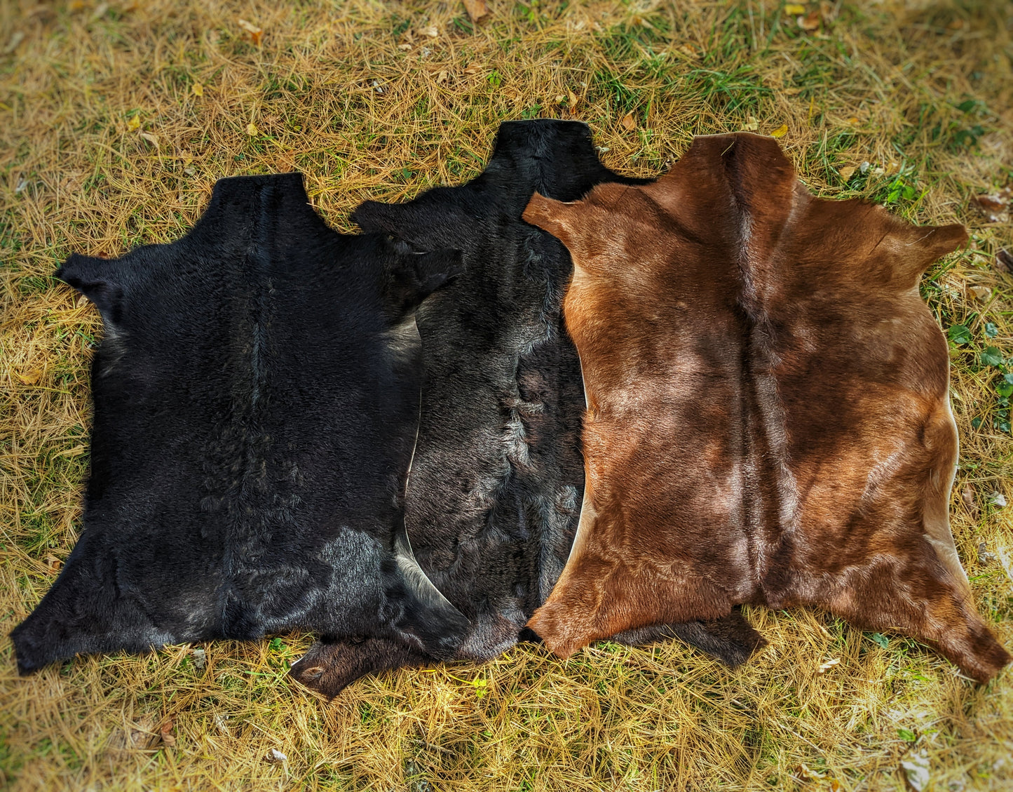 Natural Soft Goat Hide | Various Colors