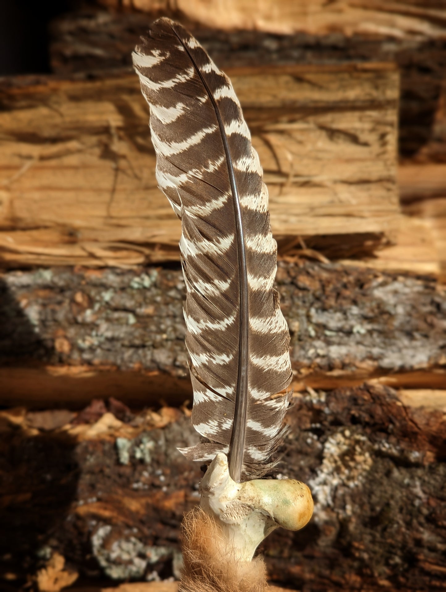 Barred Turkey Feather Deer Bone Rabbit Fur Smudging Smoke Fan