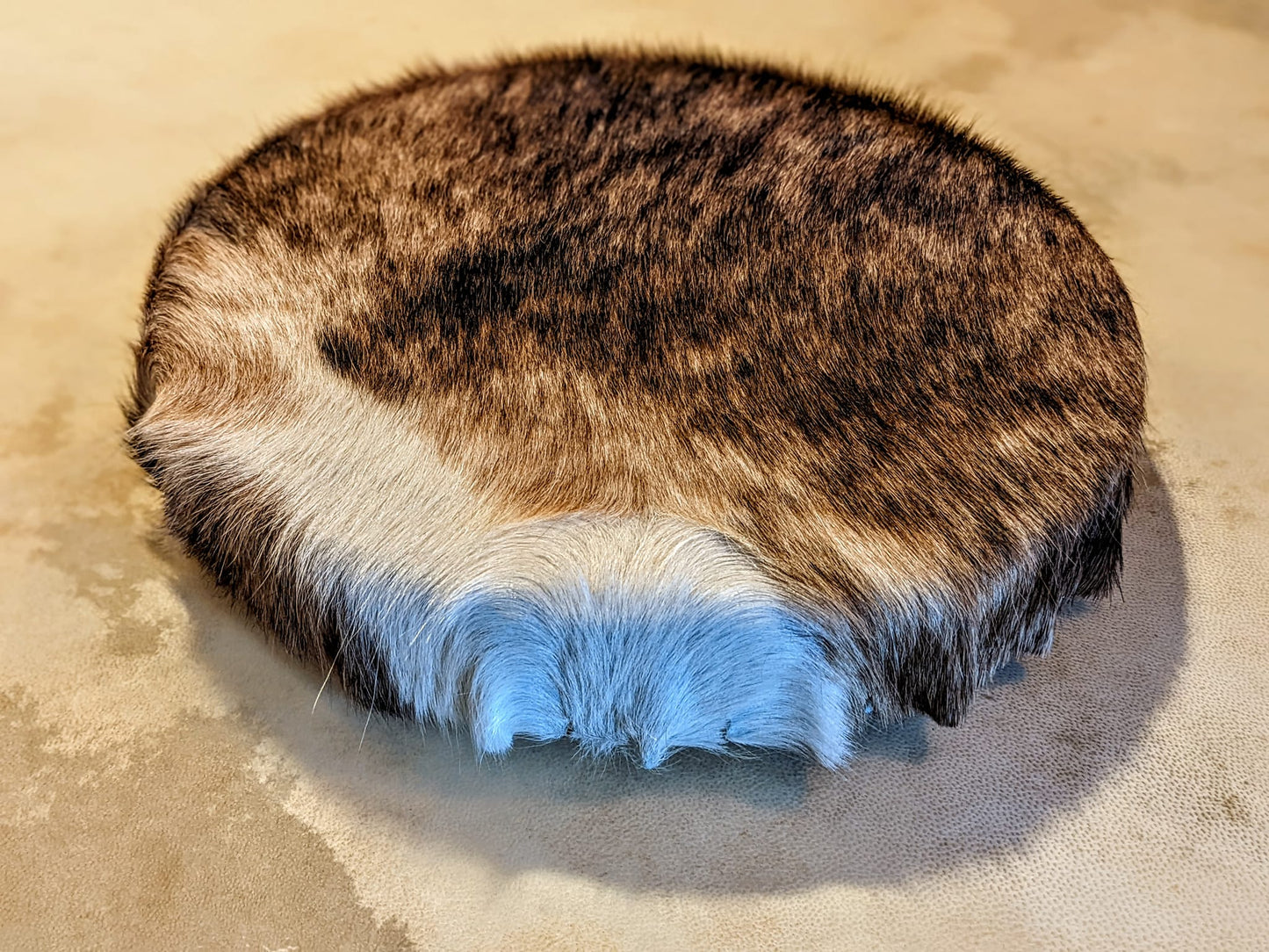 12" Hair On Cowhide Drum | Maple Frame Drum