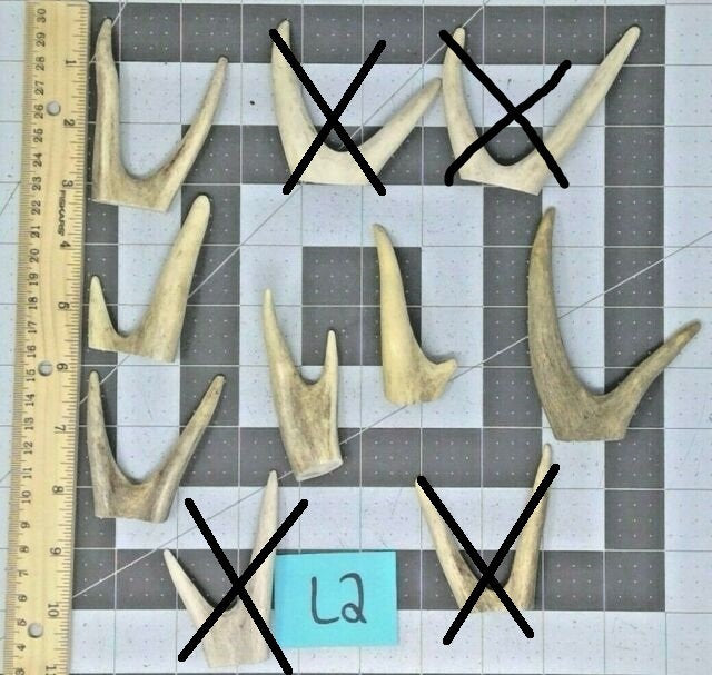 Rune Antler Nordic Smoke Wand Holder Tjärved Pine Ritual Asatru Heathen Volva Cleansing Norse Pagan