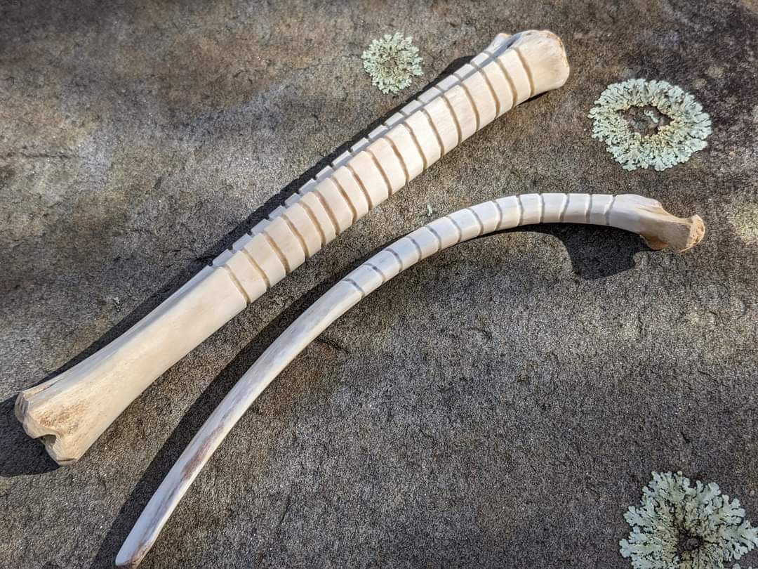 Deer Leg and Rib Rasp