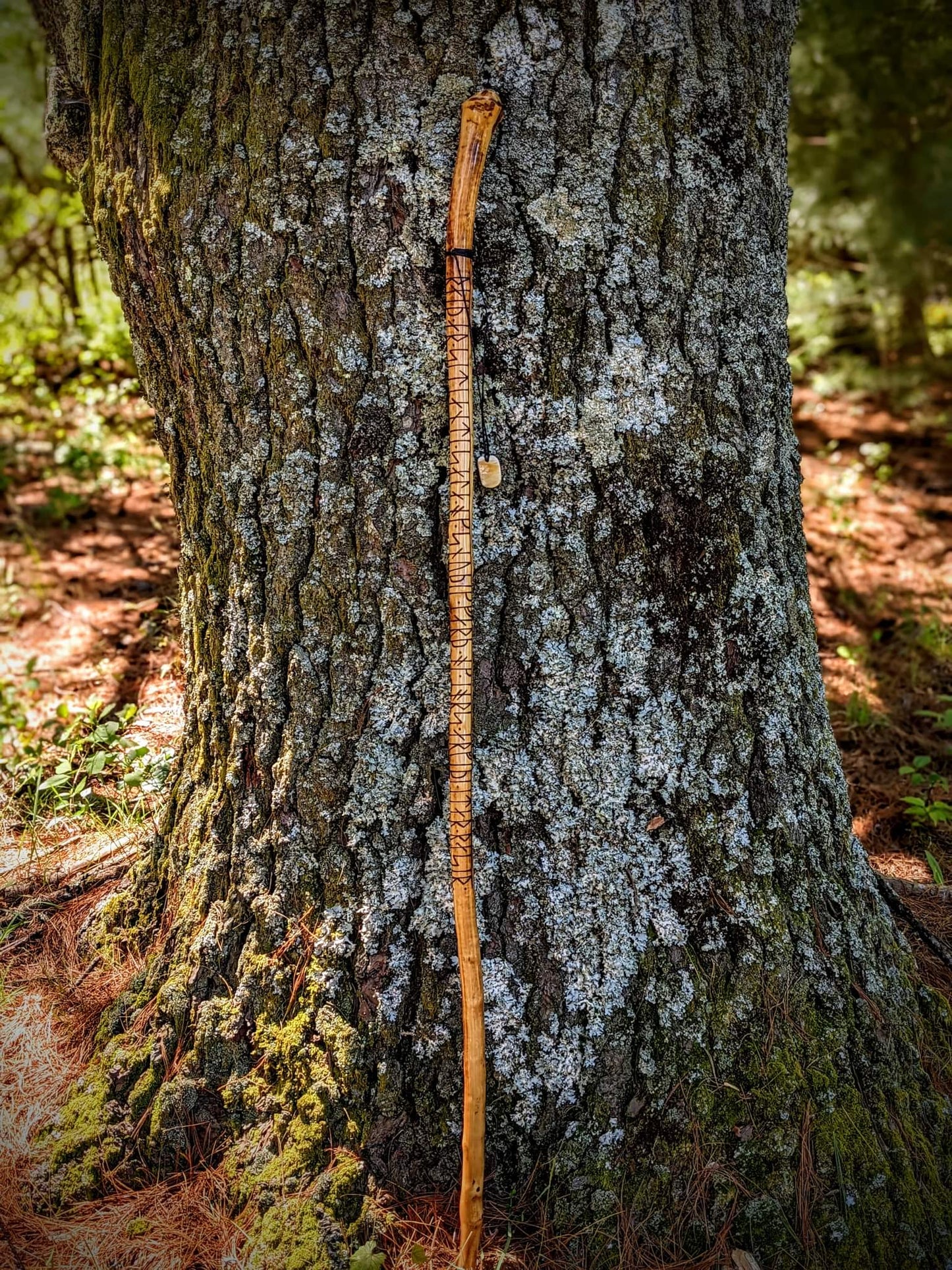 54" Ash Reiðstafr Staff | Walking Stick