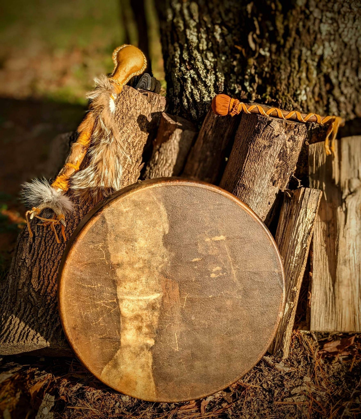 20 Inch Bison Drum With Guldbjörn 'Golden Bear' Shaman Rattle | Bear Hide | Coyote Fur | Deer Antler