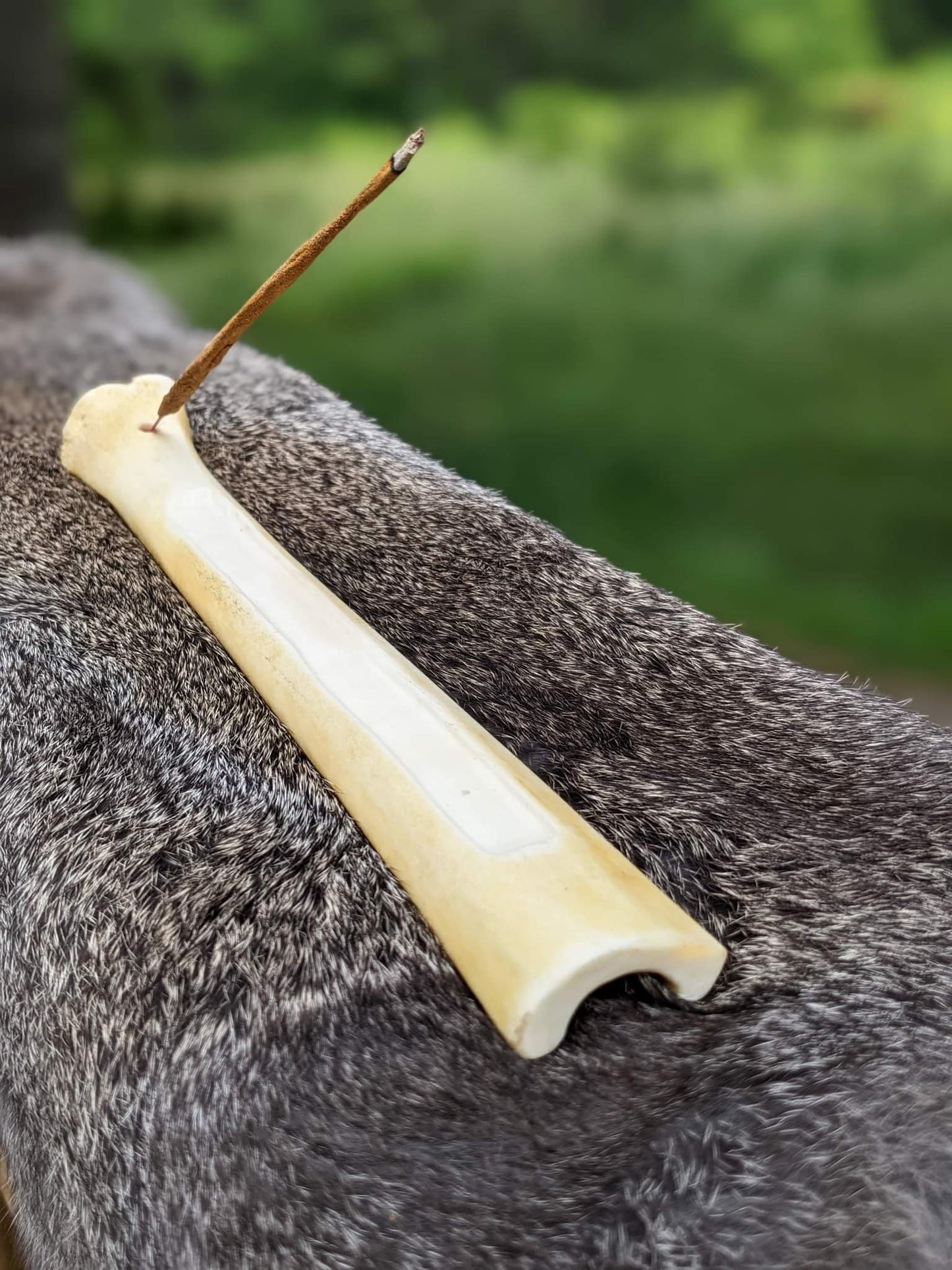 Elk Leg Bone Incense Burner | Incense Stick Holder
