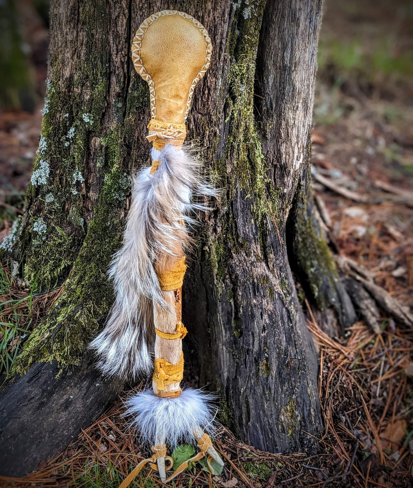 20 Inch Bison Drum With Guldbjörn 'Golden Bear' Shaman Rattle | Bear Hide | Coyote Fur | Deer Antler