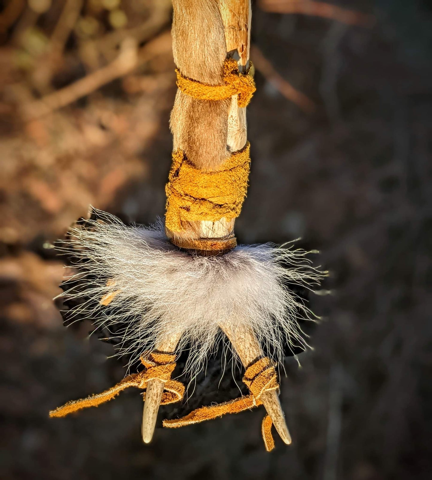 20 Inch Bison Drum With Guldbjörn 'Golden Bear' Shaman Rattle | Bear Hide | Coyote Fur | Deer Antler