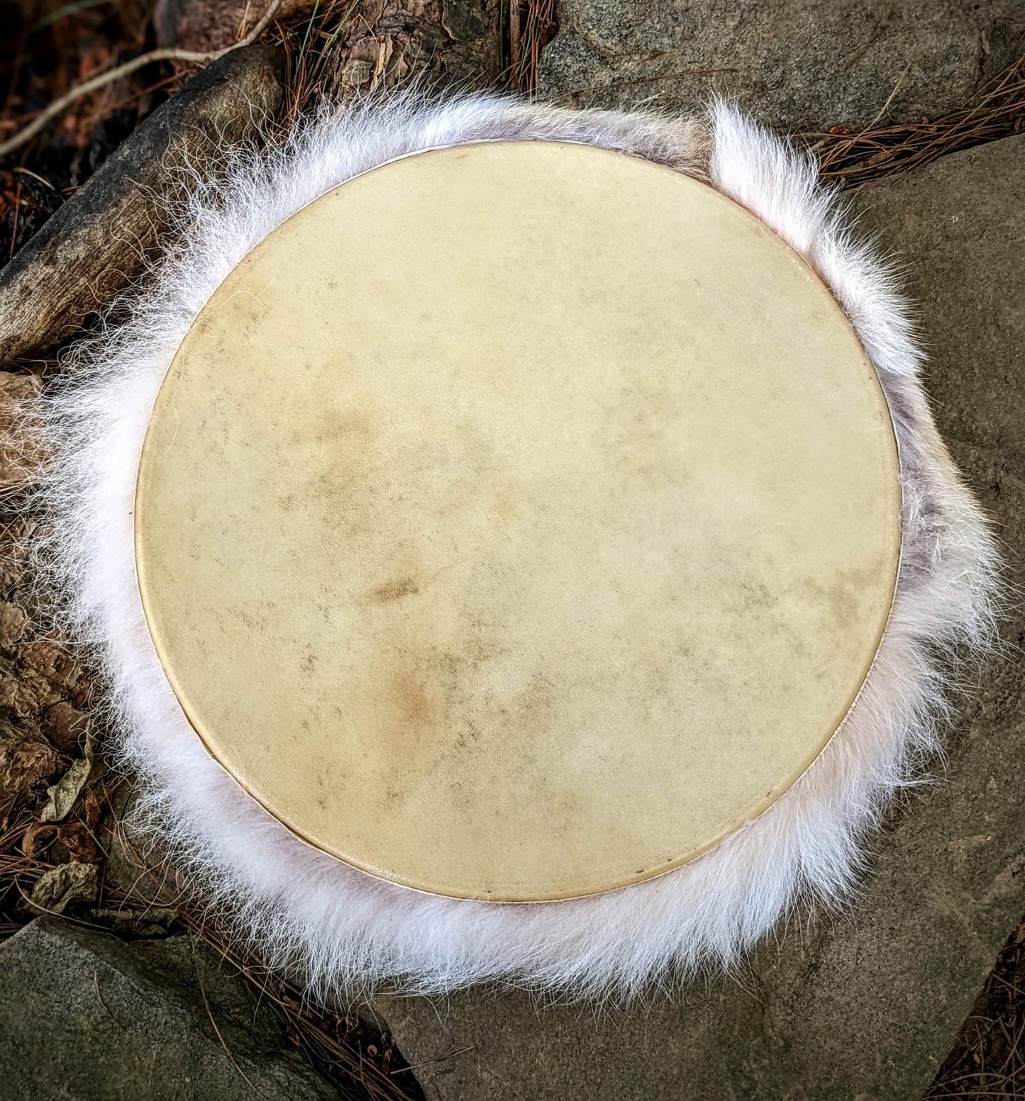 12 Inch Deer Skin Coyote Fur Shaman Drum with Deer Jaw Bone Beater