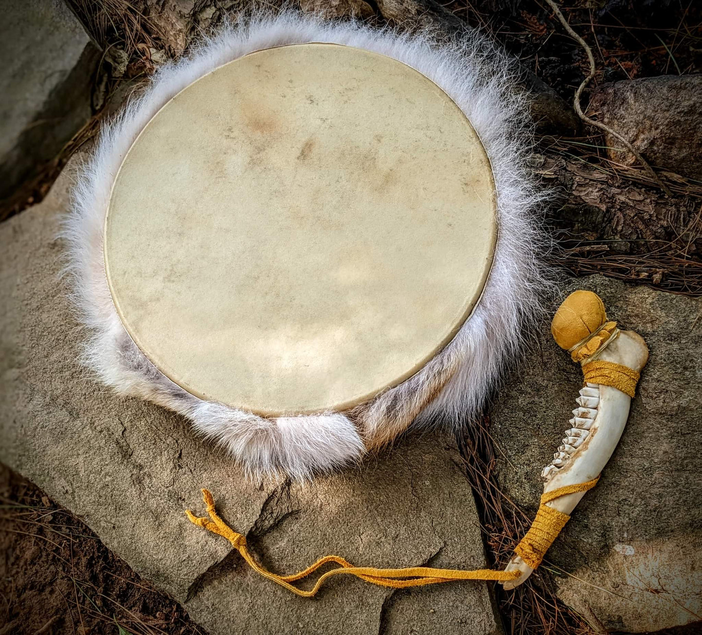 12 Inch Deer Skin Coyote Fur Shaman Drum with Deer Jaw Bone Beater