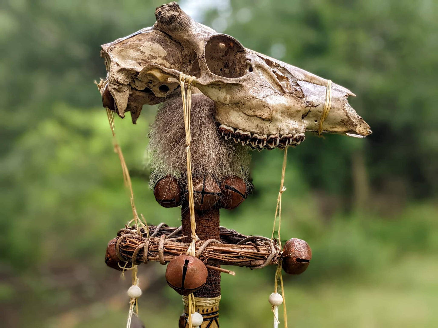 Deer Skull Ritual Runic Formula Staff | Elk Bone | Crow Feather