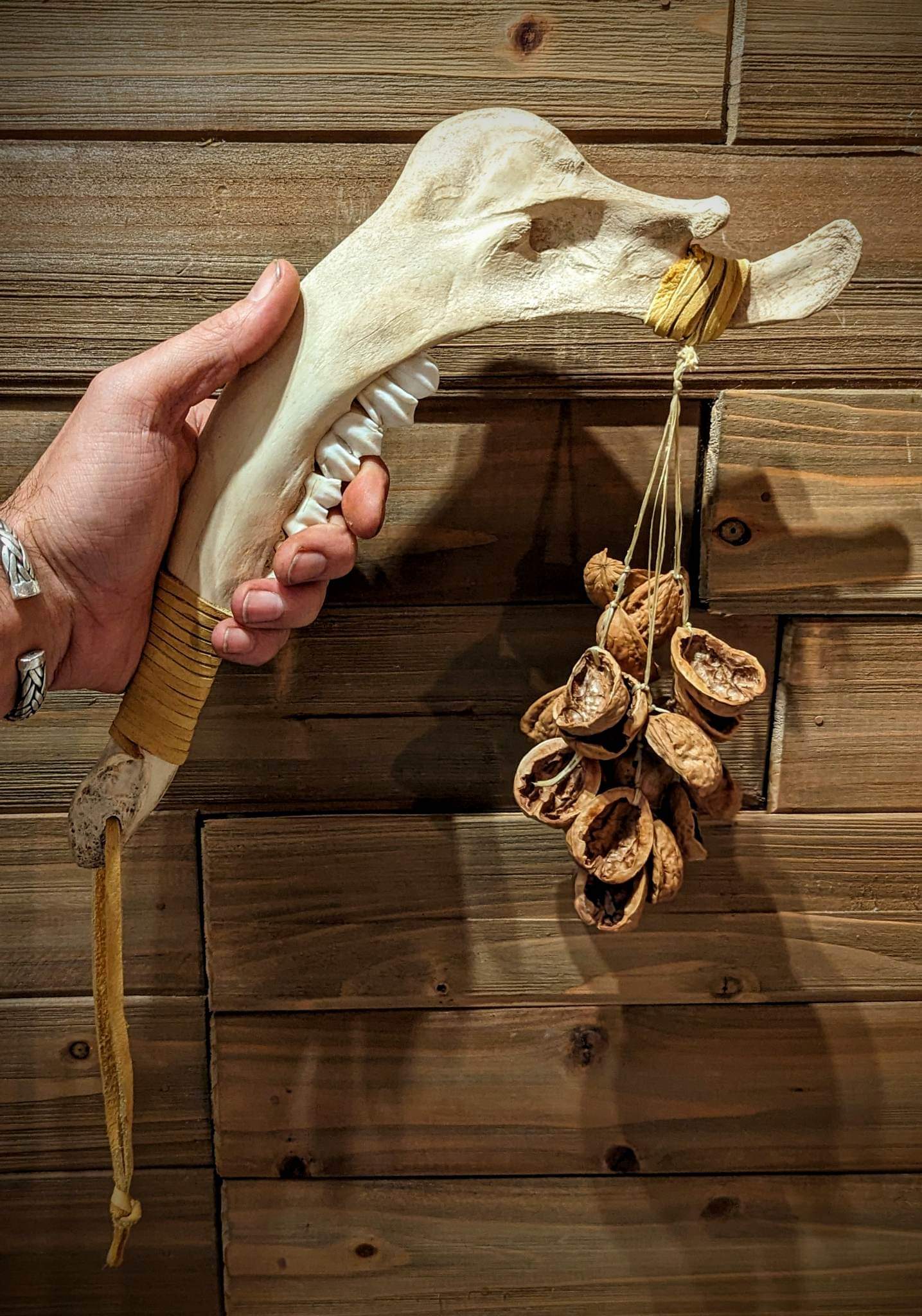 Elk Jaw Bone Walnut Rattle