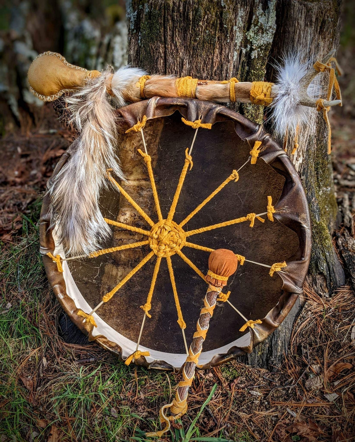 20 Inch Bison Drum With Guldbjörn 'Golden Bear' Shaman Rattle | Bear Hide | Coyote Fur | Deer Antler