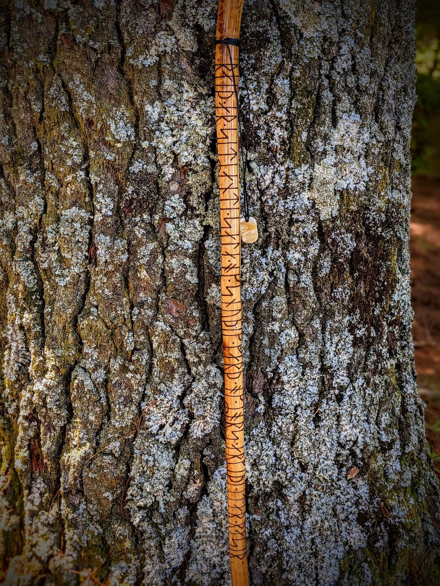 54" Ash Reiðstafr Staff | Walking Stick