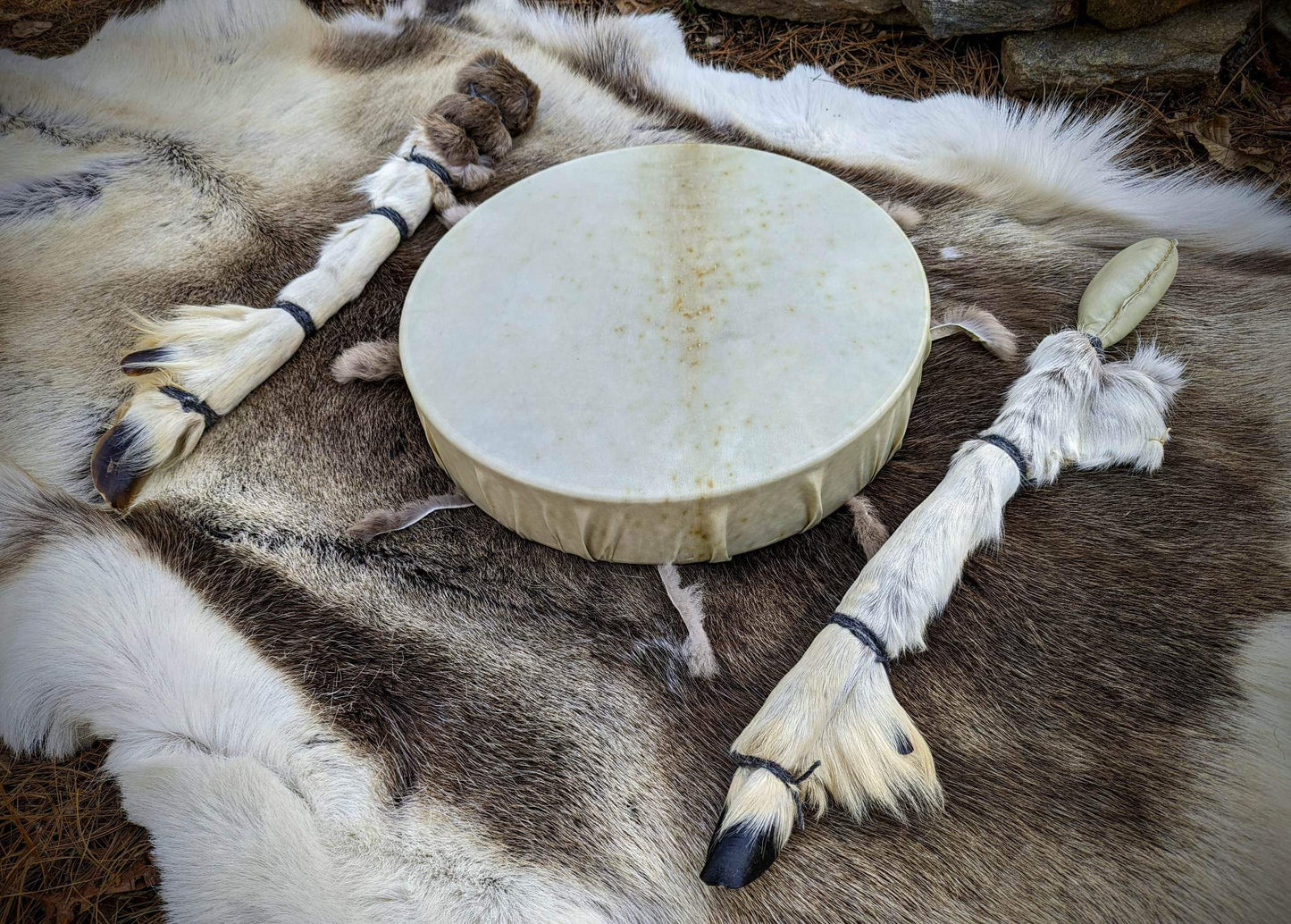Reindeer Drum With Leg and Hoof Beater And Rattle