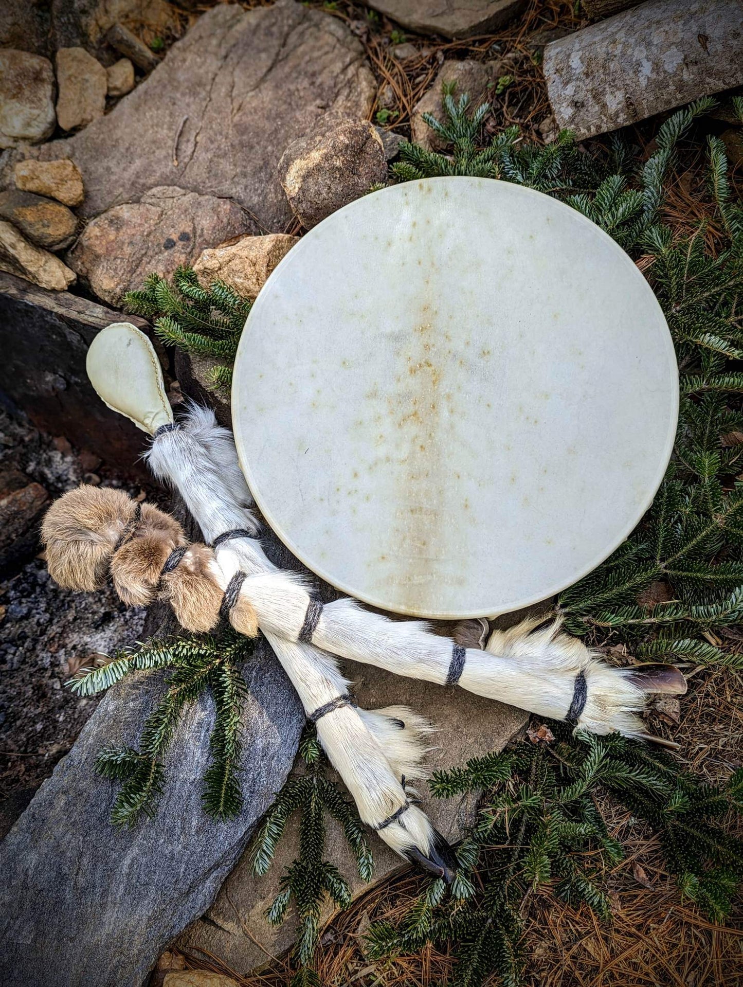 Reindeer Drum With Leg and Hoof Beater And Rattle