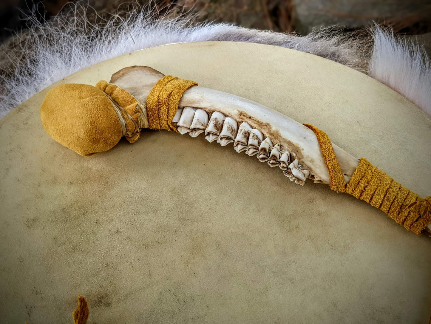 12 Inch Deer Skin Coyote Fur Shaman Drum with Deer Jaw Bone Beater