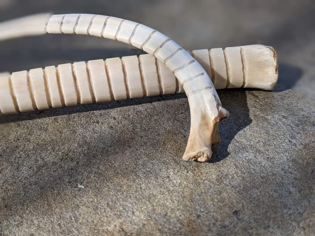 Deer Leg and Rib Rasp