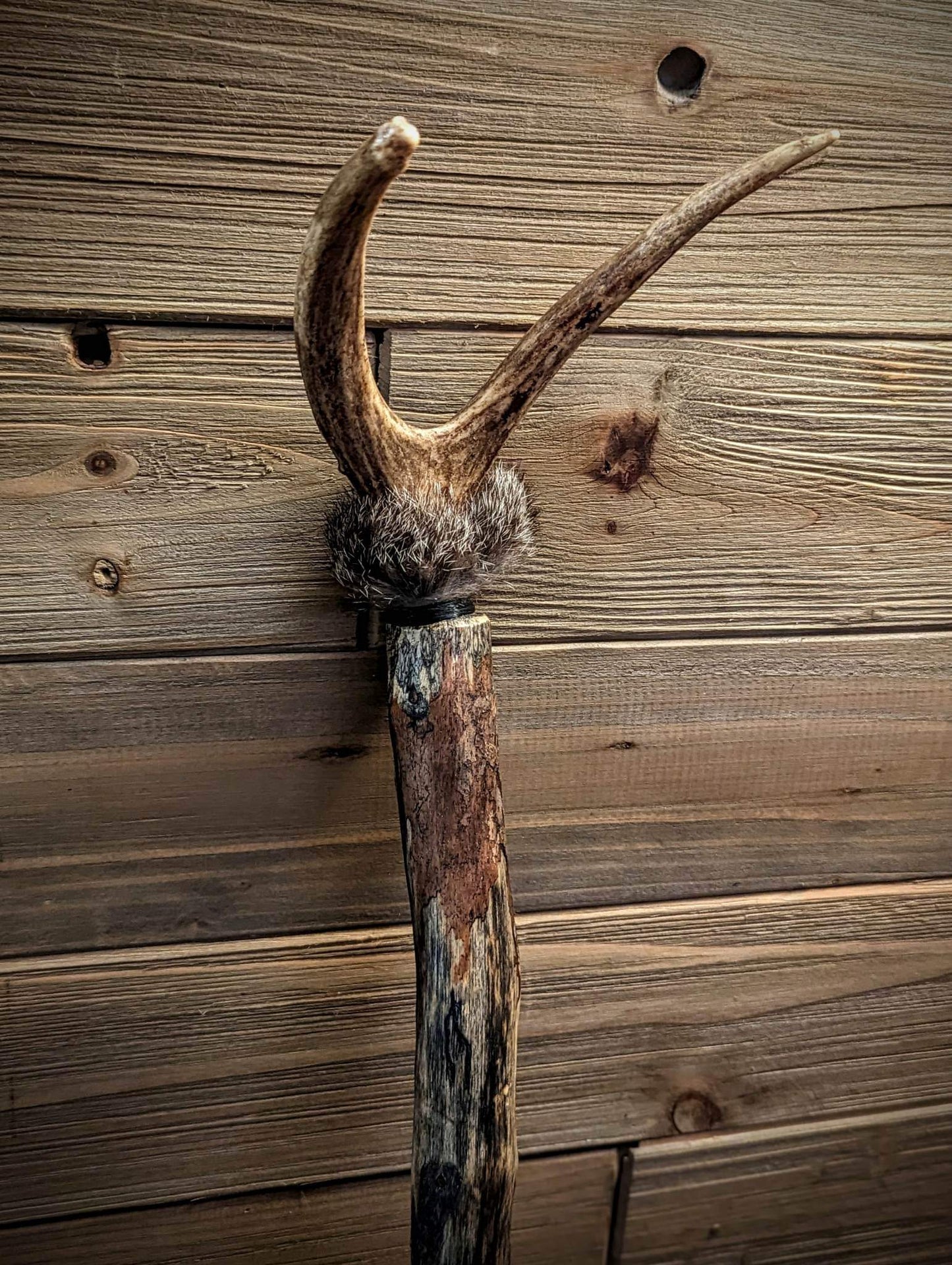 Grárbjörn "Grey Bear" Bear Hide Shaman Rattle with Rabbit Fur and Deer Antler