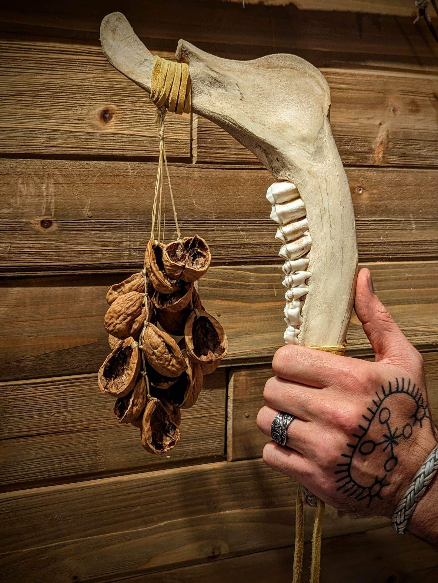 Elk Jaw Bone Walnut Rattle
