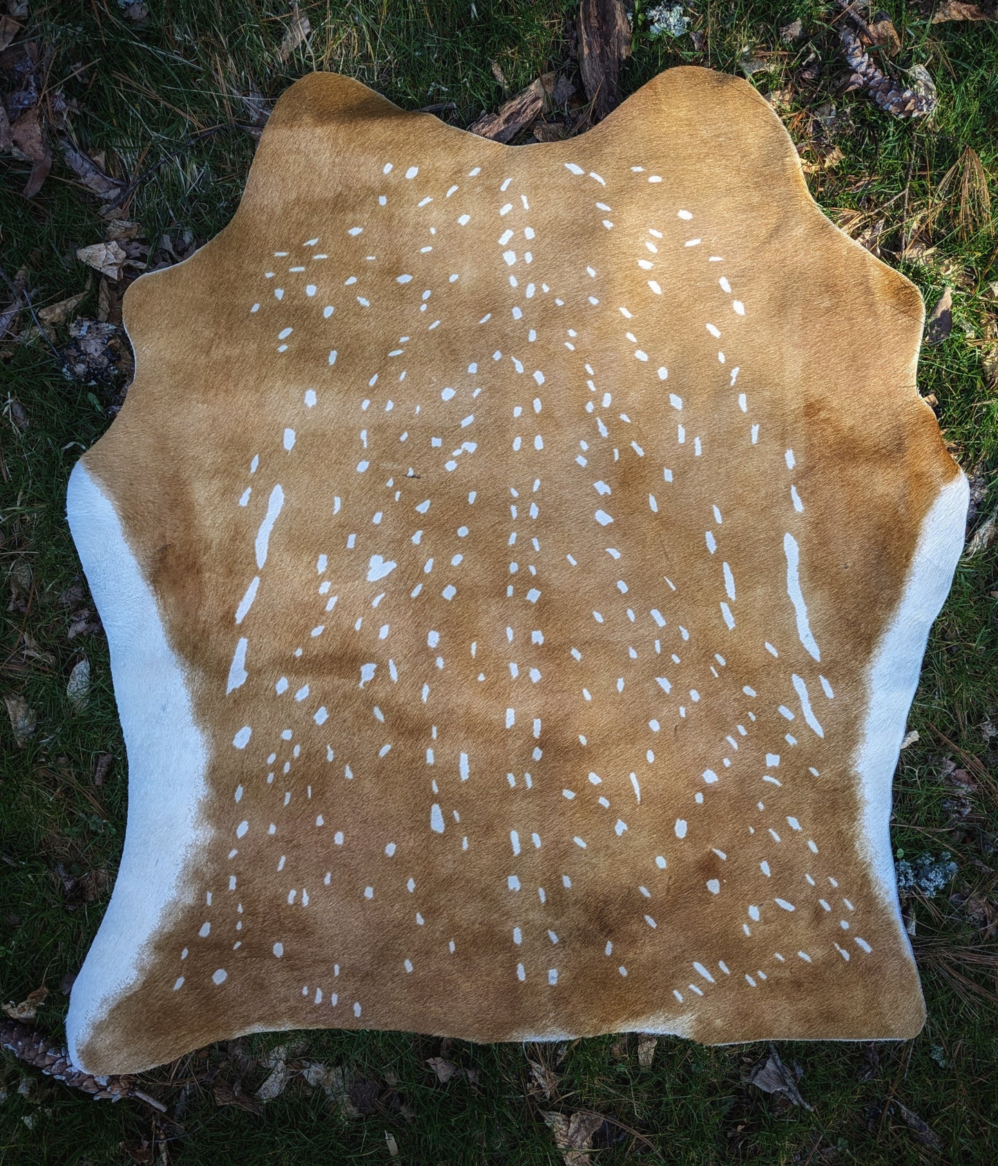 "Fauxn" Fawn Dyed Cowhide Cow Skin