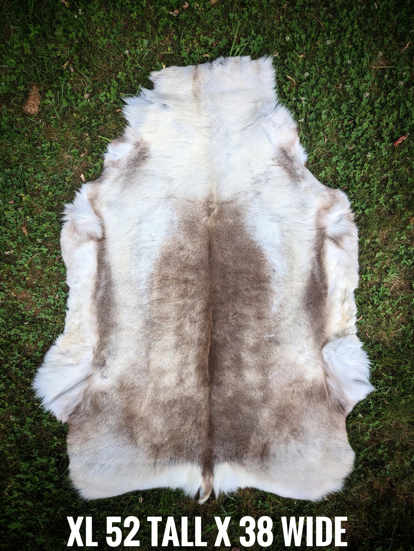 Large Finnish Reindeer Hide | Imported From Sápmi Herders