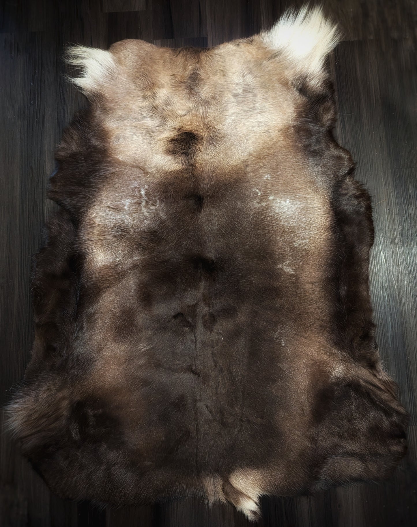 Large Finnish Reindeer Hide | Imported From Sápmi Herders