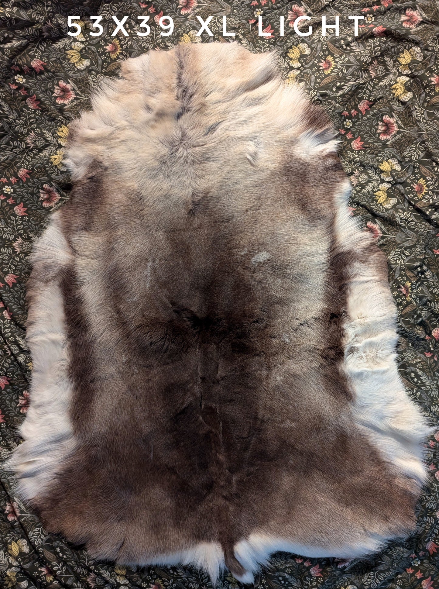 Large Finnish Reindeer Hide | Imported From Sápmi Herders