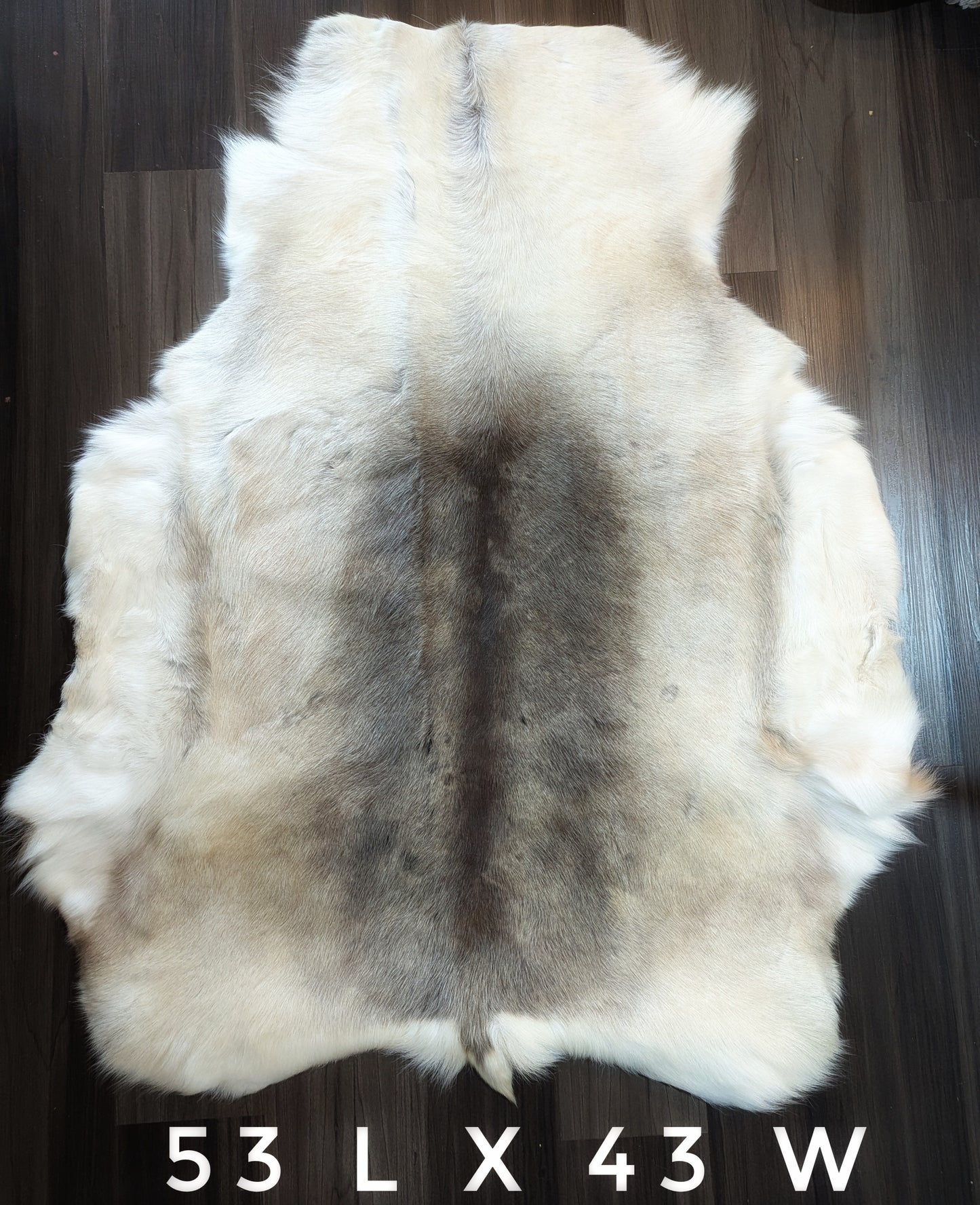 Large Finnish Reindeer Hide | Imported From Sápmi Herders