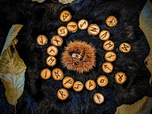 Set of 24 Chestnut Elder Futhark Runes Hand Cut and Burned Natural Wood Runes