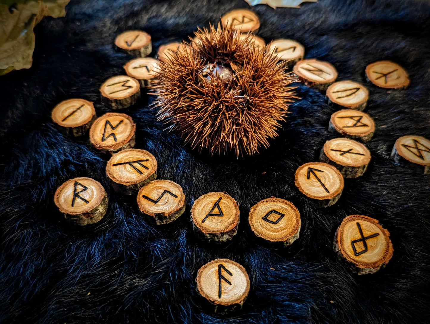 Set of 24 Chestnut Elder Futhark Runes Hand Cut and Burned Natural Wood Runes