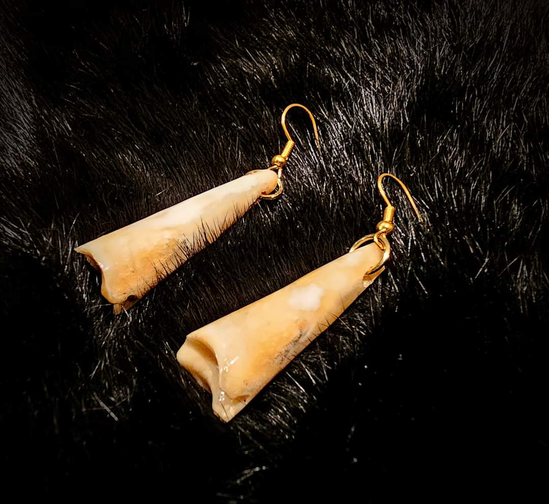 Deer Toe Bone Earrings